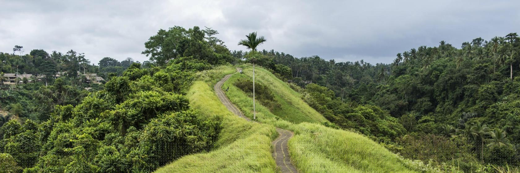 Campuhan Ridge Walk